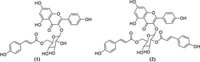 Treating Hyperglycemia From Eryngium caeruleum M. Bieb: In-vitro α-Glucosidase, Antioxidant, in-vivo Antidiabetic and Molecular Docking-Based Approaches